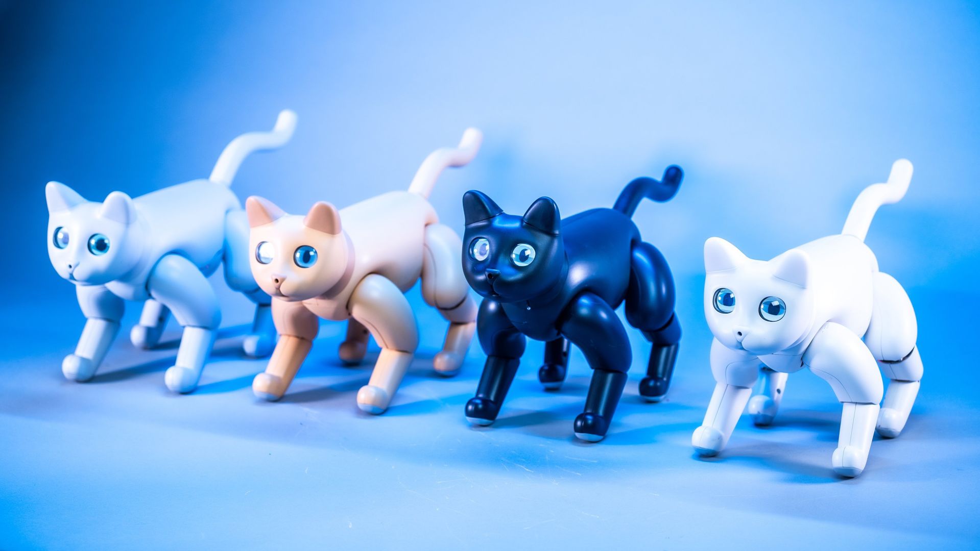 MarsCats